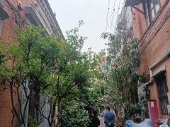 -SNH48星梦剧院