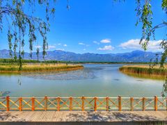 -野鸭湖国家湿地公园