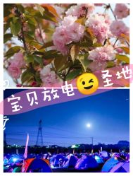 -麦粒鸟亲子游