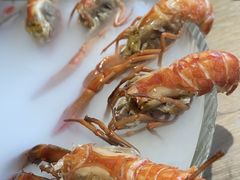 -红盔甲·小龙虾(车公庙店)
