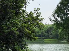 -尚贤河湿地
