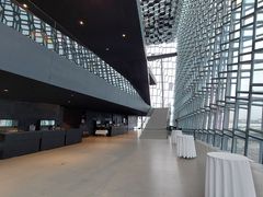 -冰岛阴茎博物馆