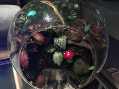 -green essence 青籁优体(三里屯店)