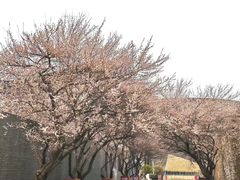 -国际非物质文化遗产博览园