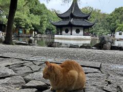 -西园戒幢律寺