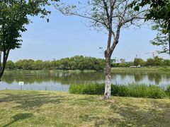 -贡湖湾湿地公园