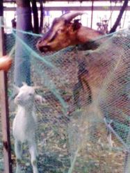 -金庭庄园酒店彩虹厅