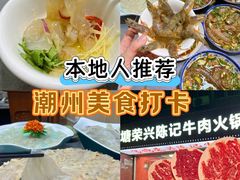 -官塘陈记鱼生·潮汕砂锅粥·牛肉火锅(潮枫路总店)