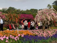 -东莞植物园