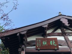 -杭州半山国家森林公园