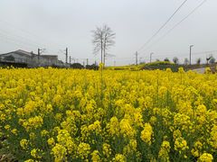 -青林口古镇