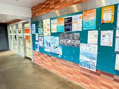 -香港大学