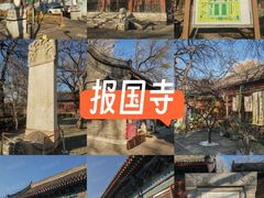 -报国寺