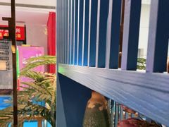 -野妹经典火锅(民治店)