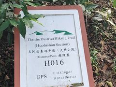 -火炉山森林公园