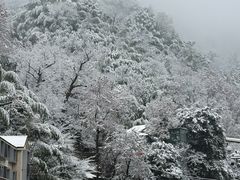 -藏龙百瀑风景区