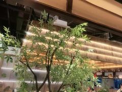 -滇铺子·云南特色菜·鲜花野菜季(曲靖万达店)