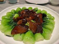 -蝶园·装修中(BFC外滩金融中心店)