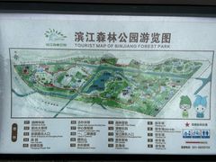 -上海滨江森林公园