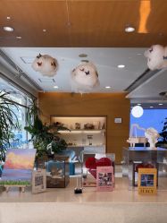 -杭州贝瑞斯美华妇儿医院·早孕·产检·儿科