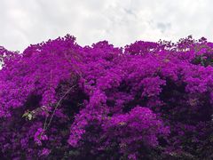 -成都杜甫草堂博物馆