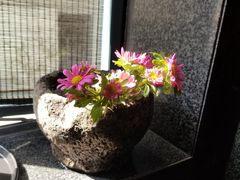 -桂语山房(满觉陇店)