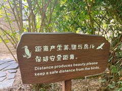 -华侨城湿地公园