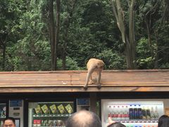 -黔灵山公园-南门售票处