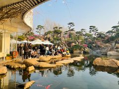 -罗红摄影艺术馆