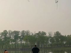 -北坞公园