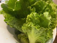 生菜-傣妹火锅(南京东路一店)