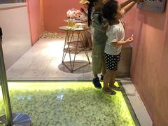 -狐狸和向日葵(北京路店)