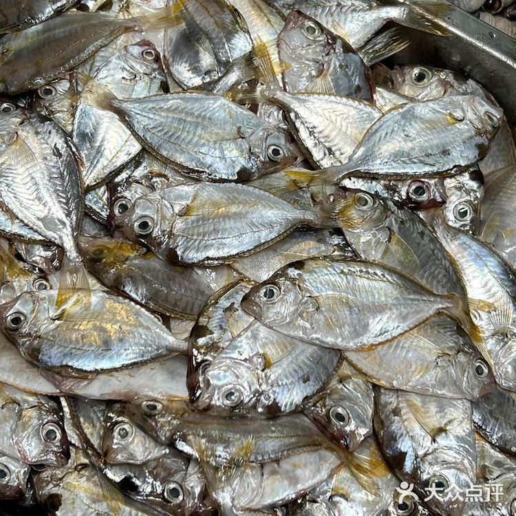 漳州东山海鲜大排档‼️我只认准金銮渔家～