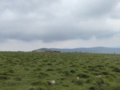 -芦芽山旅游度假区