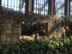 -郑州银基黄帝宫御温泉