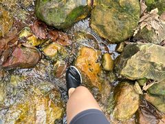 -南海湾森林生态园