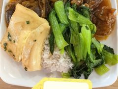 -广东中医药博物馆