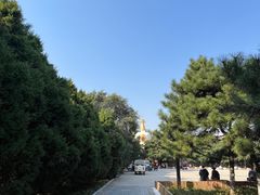 -护国法轮寺