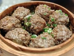 二十年陈皮蒸牛肉丸-猪肉婆私房菜(容桂总店)