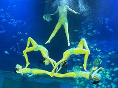 -正佳极地海洋世界