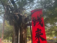 -南宁南湖公园