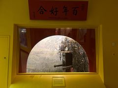 -美国自然历史博物馆