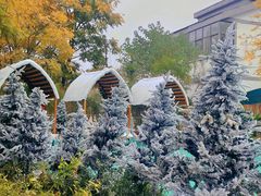 -HERRE·FARM 赫尔露营农场·团建聚会包场