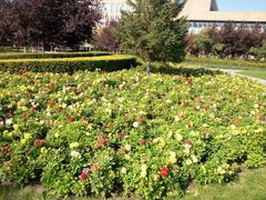 -长春世界雕塑园冰雪艺术天地