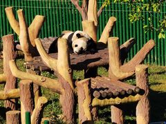 -沈阳森林动物园
