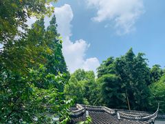 -上海醉白池公园
