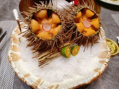 马粪海胆-月下料理(楷林IFC店)