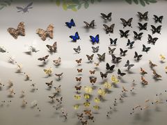 -香港科学馆