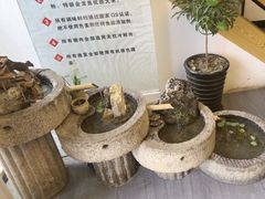 -蘇河湾·新鲁菜·泰山宴(泰山店)