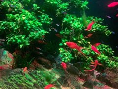 -多彩贵州城极地海洋世界